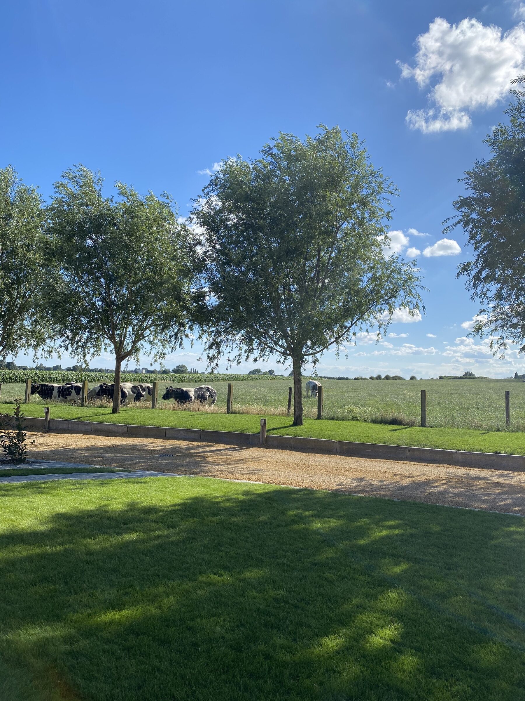 Destal Wervik Buiten 6